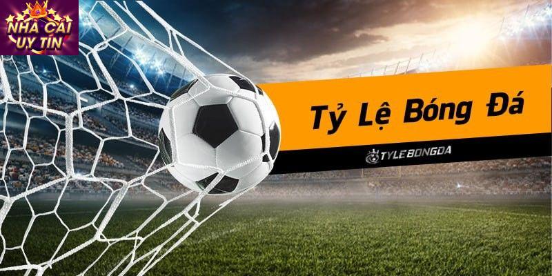 Lưu ý khi lựa chọn kèo cá cược